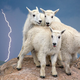 Illustration for article titled These Electrifying Photos Celebrate 50 Years Of USAs Wilderness Act